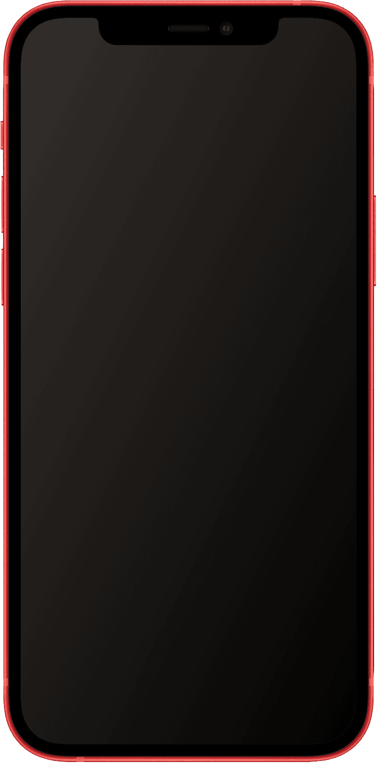 iPhone 12 mini — reference photo