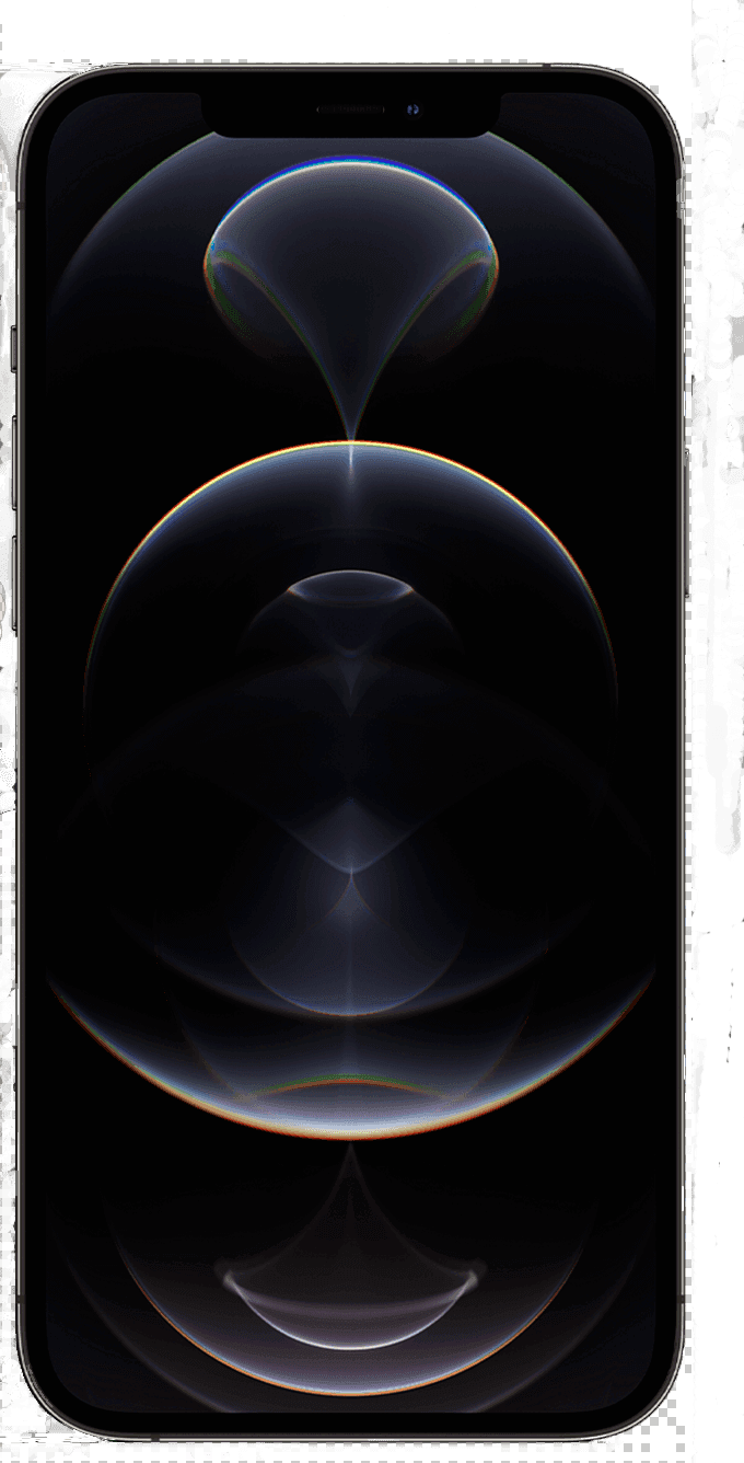 iPhone 12 Pro Max — reference photo