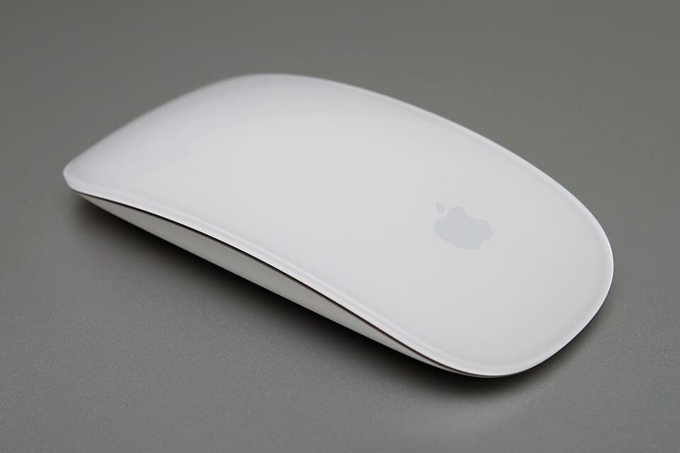 Apple Magic Mouse — reference photo