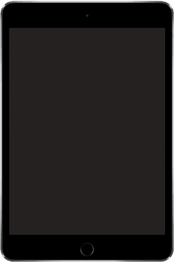iPad mini 4 (2015) — reference photo