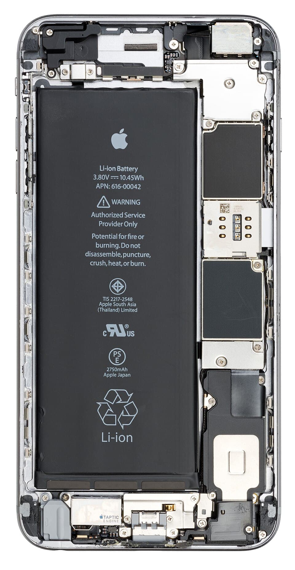 iPhone 6s Plus — reference photo