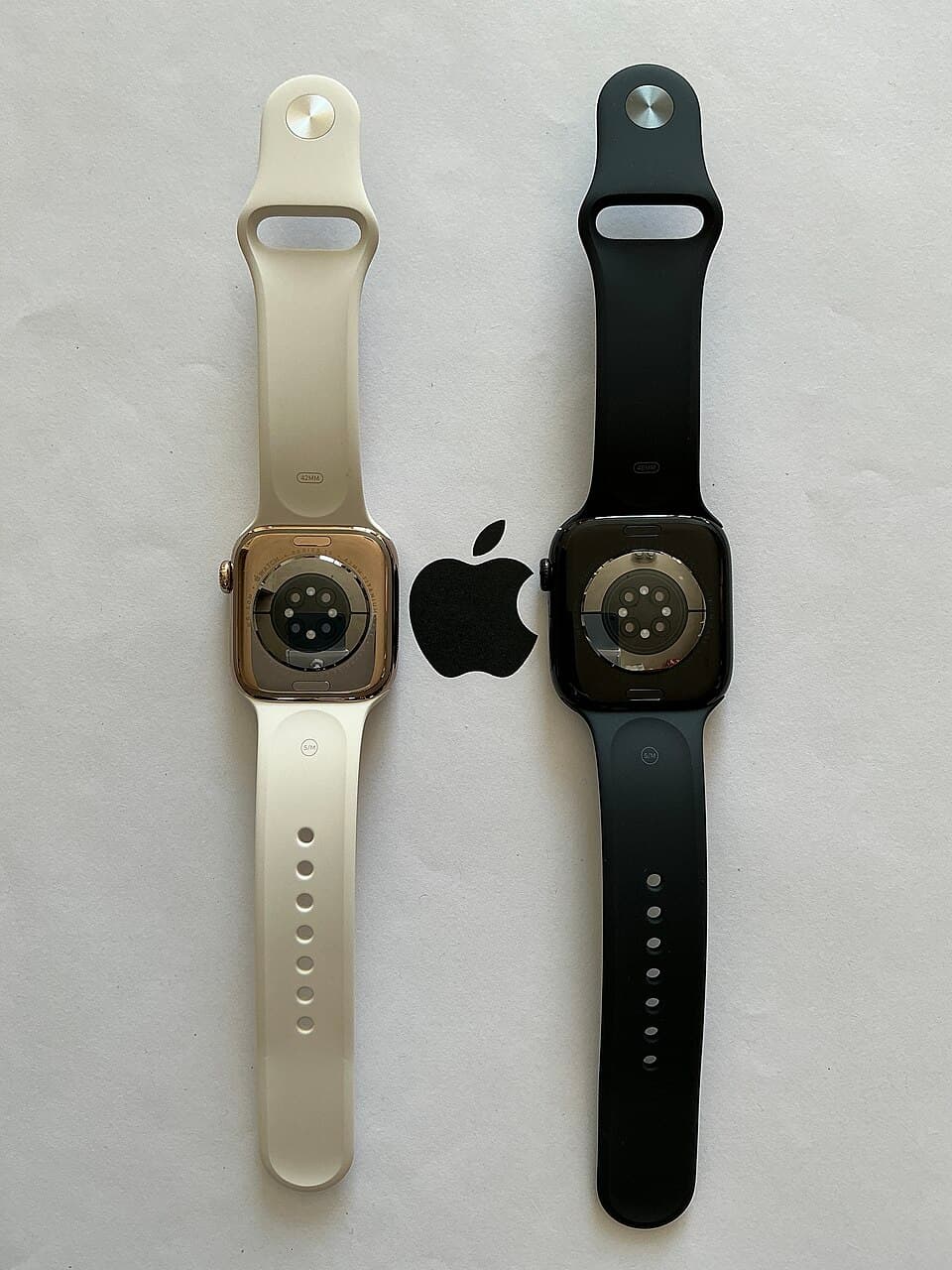 Apple Watch Series 10 — reference photo