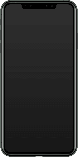iPhone 11 Pro Max — reference photo
