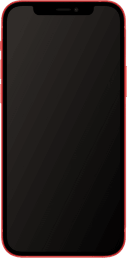 iPhone 12 mini — reference photo