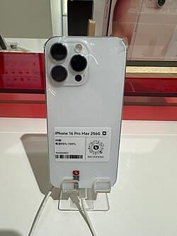 iPhone 16 Pro Max — reference photo