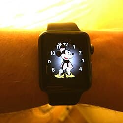 Apple Watch Series 1 — reference photo