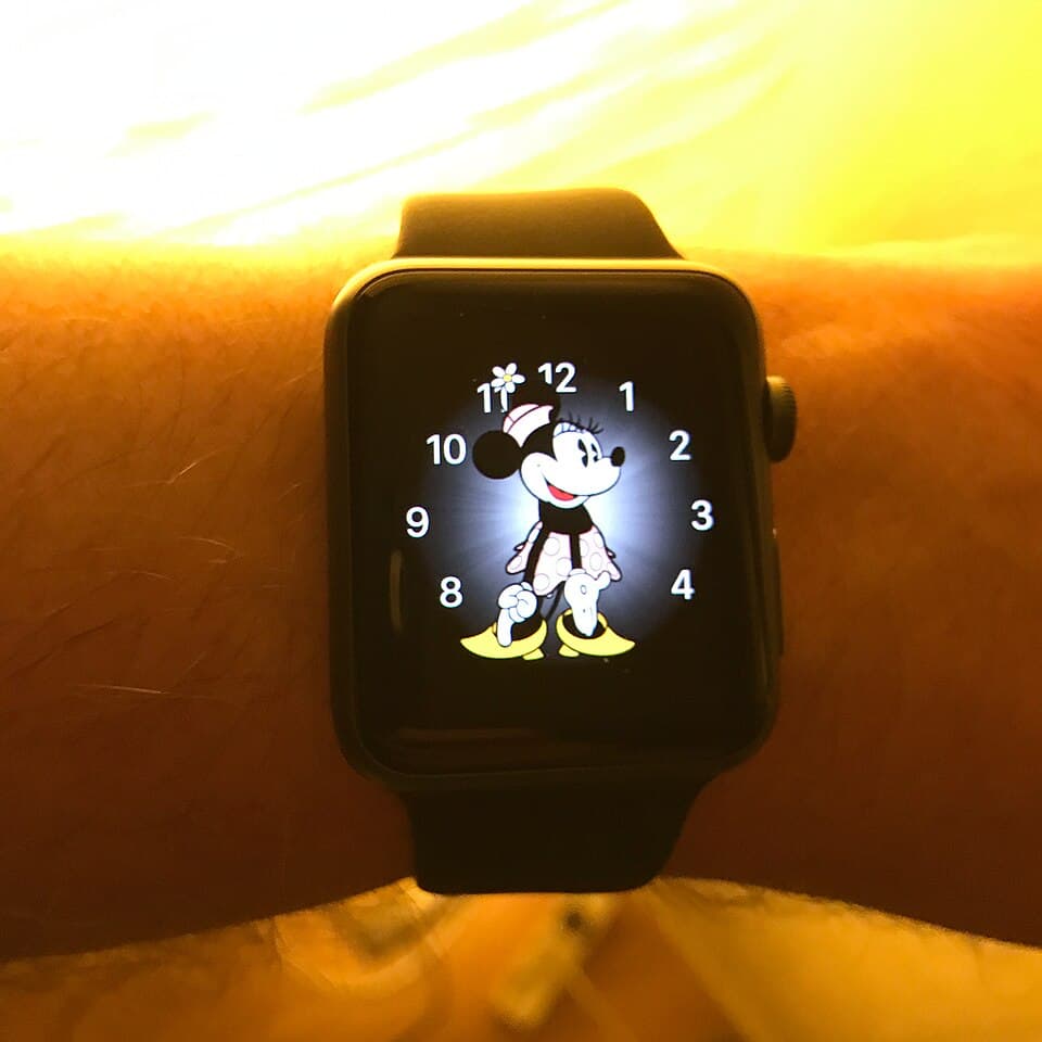 Apple Watch Series 1 — reference photo