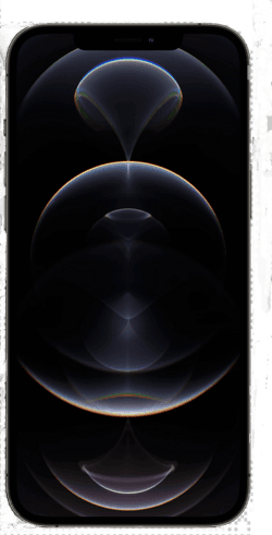 iPhone 12 Pro Max — reference photo